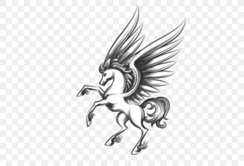Pegasus Vector Graphics Drawing Sketch Royalty-free, PNG, 480x559px, Pegasus, Art, Beak, Bird, Bird Of Prey Download Free