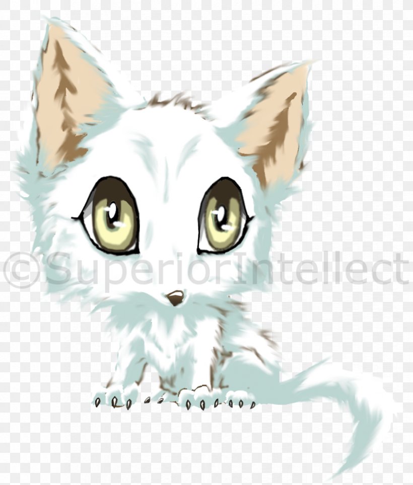 Whiskers Drawing Illustration Cat Cartoon, PNG, 824x969px, Whiskers, Arctic, Arctic Wolf, Art, Carnivoran Download Free