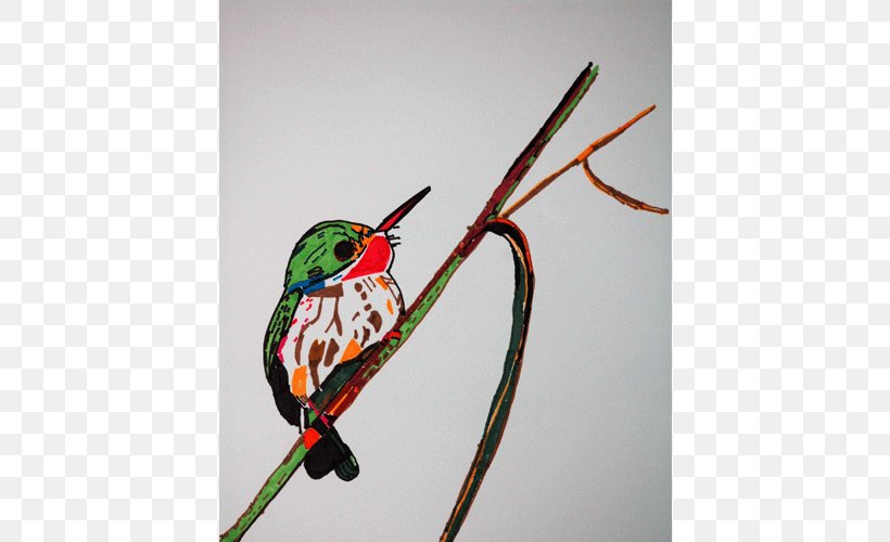 Bird Vision Beak Wing Water Bird, PNG, 700x500px, Bird, Beak, Bird Vision, Birds, Feather Download Free
