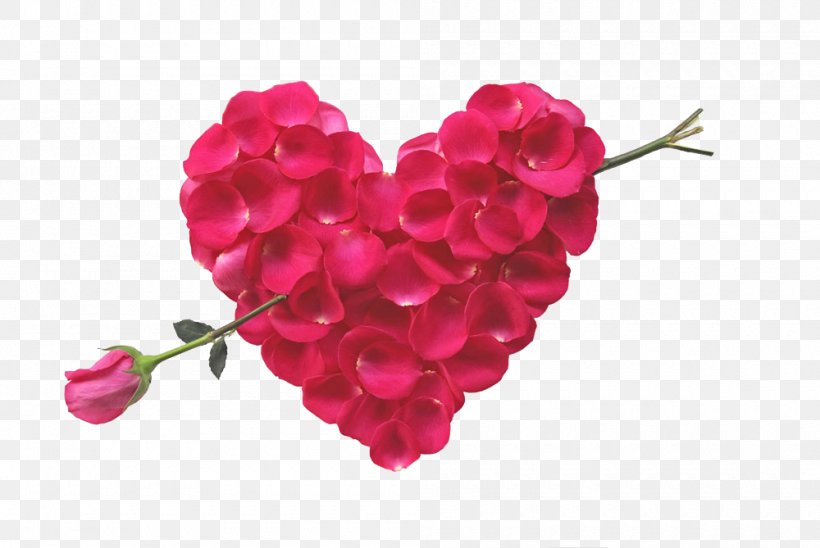 Flower Bouquet Rose Heart Petal, PNG, 1000x669px, Flower, Floristry, Flower Bouquet, Flowering Plant, Garden Roses Download Free