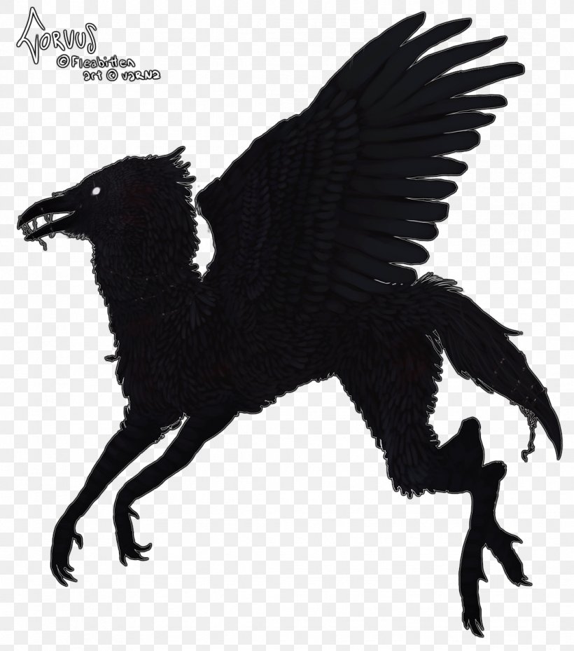 Beak Bird Of Prey Fauna Common Raven, PNG, 1085x1230px, Beak, Bird, Bird Of Prey, Black And White, Character Download Free