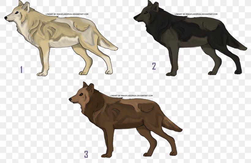 Dog Fauna Wildlife Tail Gray Wolf, PNG, 1024x666px, Dog, Carnivoran, Dog Like Mammal, Fauna, Gray Wolf Download Free