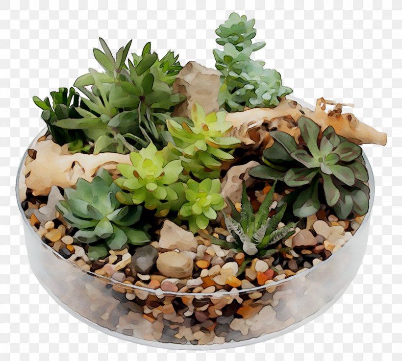 Houseplant Flowerpot, PNG, 1235x1111px, Houseplant, Cactus, Echeveria, Flower, Flowerpot Download Free