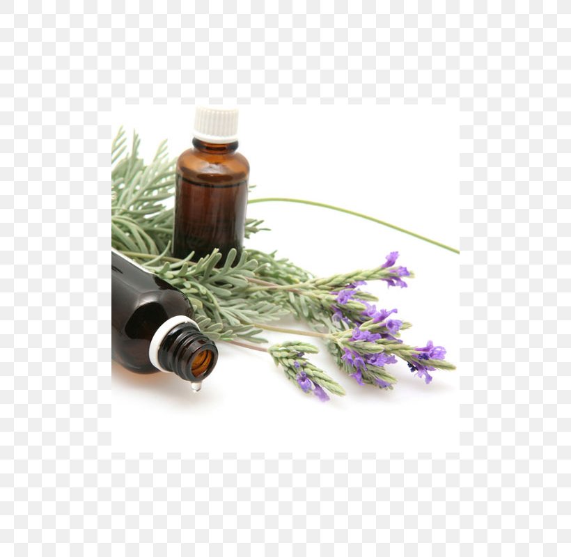 Lavender Oil Essential Oil Fragrance Oil, PNG, 800x800px, Lavender Oil, Aromatherapy, Bath Salts, Cananga Odorata, Carrier Oil Download Free