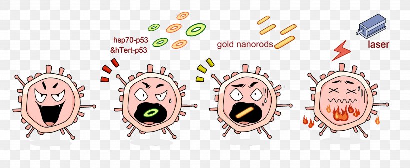 P53 Transfection Heat Shock Protein Plasmid Cell, PNG, 3506x1441px, Transfection, Brand, Cell, Communication, Crispr Download Free