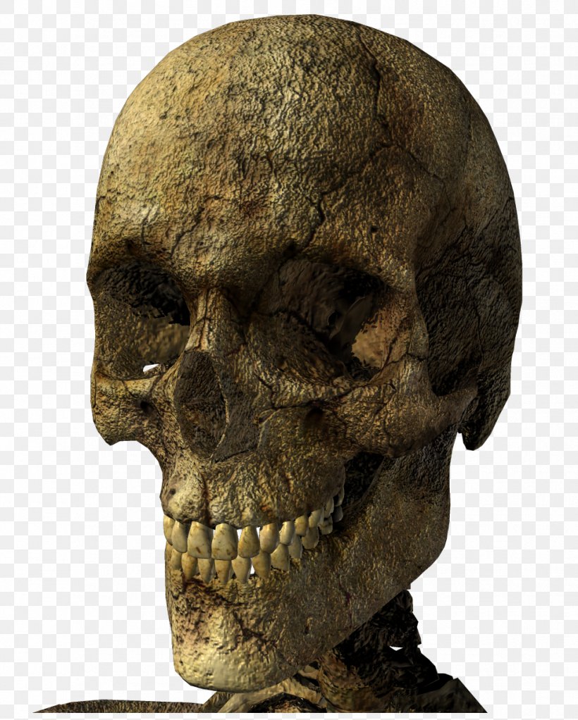 Skeleton Skull Clip Art, PNG, 978x1220px, Skeleton, Bone, Depositfiles, Digital Image, Head Download Free