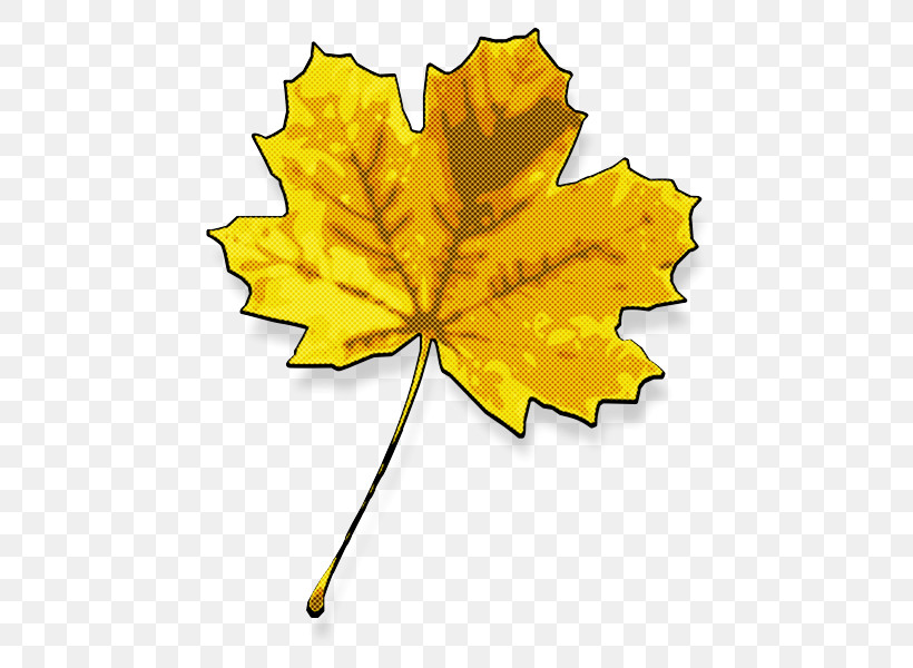 Plant Stem Leaf Flower Maple Leaf / M Yellow, PNG, 600x600px, Plant Stem, Biology, Flower, Leaf, Line Download Free