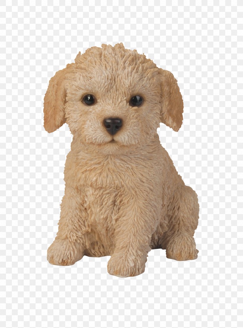 Puppy Poodle Labrador Retriever Golden Retriever Jack Russell Terrier, PNG, 1740x2342px, Puppy, Animal, Breed, Canidae, Carnivoran Download Free