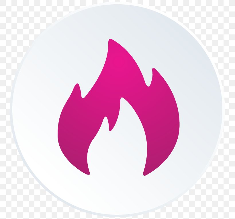 Vector Graphics Fire Illustration, PNG, 763x763px, Fire, Flame, Logo, Magenta, Pink Download Free