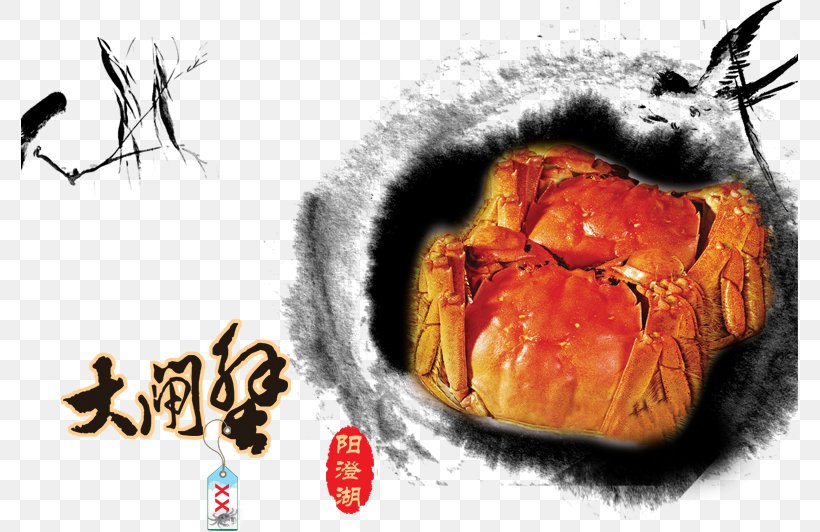 Yangcheng Lake Large Crab Yangcheng Lake Large Crab Chinese Mitten Crab, PNG, 777x532px, Watercolor, Cartoon, Flower, Frame, Heart Download Free