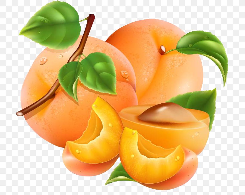 Apricot Auglis Peach Orange Vegetable, PNG, 713x651px, Apricot, Auglis, Bouea Macrophylla, Diet Food, Food Download Free