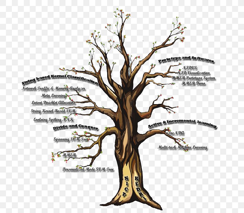 Contemplative Practices In Action Mindfulness Spiritual Practice Contemplation Tree, PNG, 707x716px, Contemplative Practices In Action, Art, Attention, Awareness, Branch Download Free