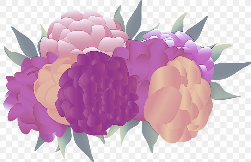 Flower Pink Petal Violet Purple, PNG, 2650x1715px, Flower, Cut Flowers, Flowering Plant, Petal, Pink Download Free