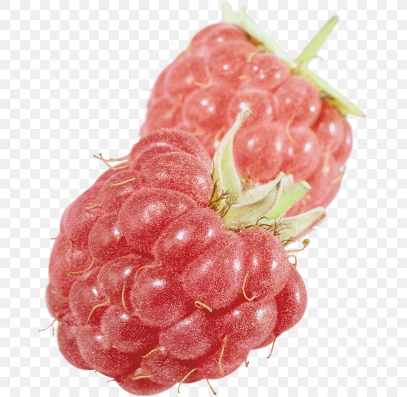 Raspberry Loganberry Strawberry Tayberry Fruit, PNG, 668x800px, Raspberry, Auglis, Berry, Cake, Computer Network Download Free