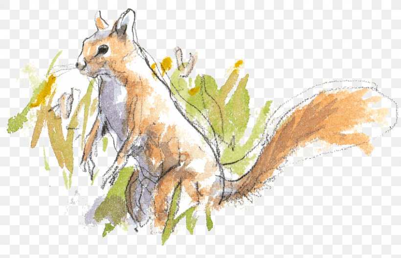 Red Fox Tree Squirrel Red Squirrel Drawing, PNG, 848x545px, Red Fox, Book, Carnivoran, Childrens Literature, Dog Like Mammal Download Free