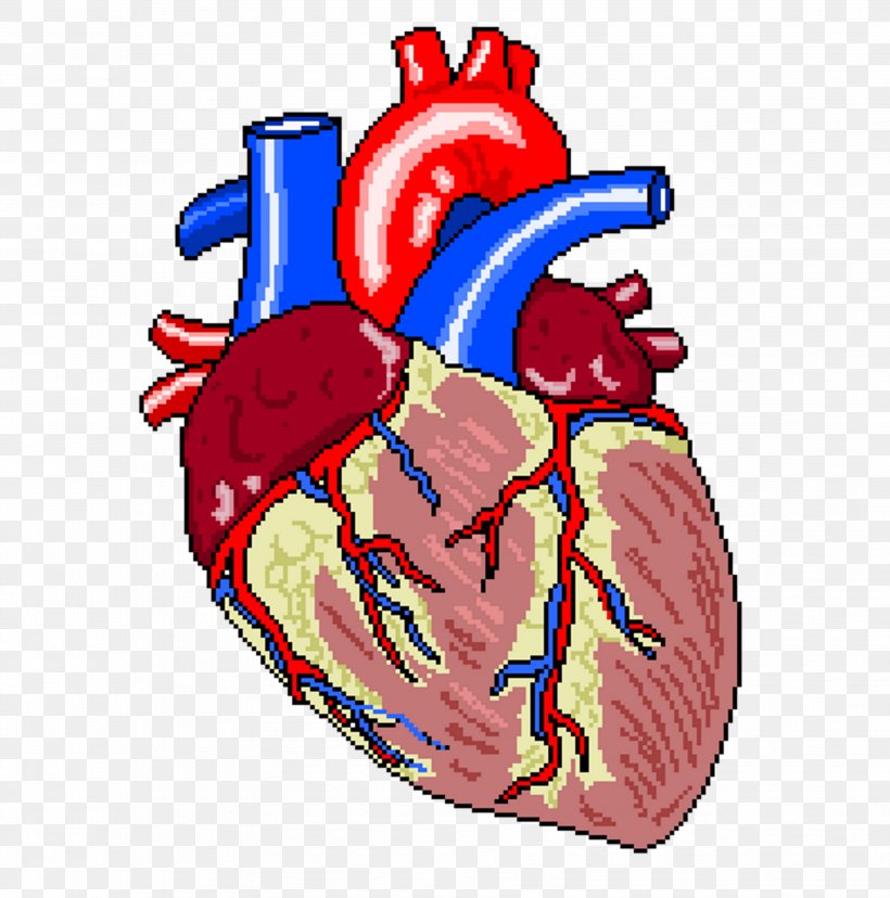 Heart Failure Coronary Artery Bypass Surgery Vascular Bypass Cardiology, PNG, 3564x3600px, Watercolor, Cartoon, Flower, Frame, Heart Download Free