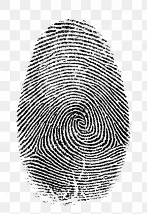 Clip Art Fingerprint Openclipart Forensic Science Image, PNG, 431x640px ...