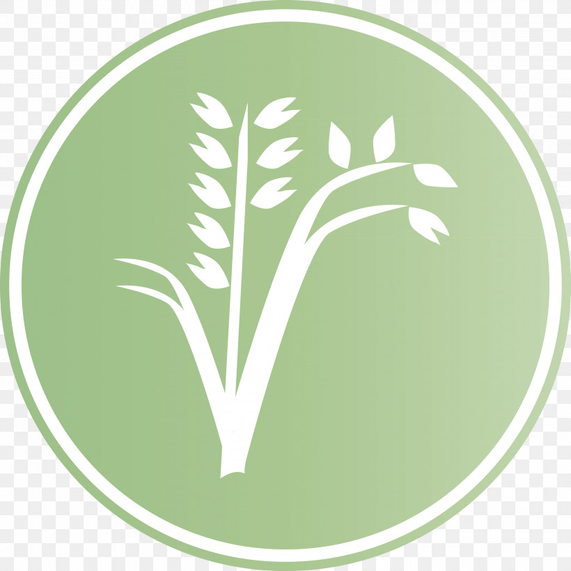 Oats Wheat Oats Logo, PNG, 3000x3000px, Oats, Biology, Green, Leaf, Logo Download Free