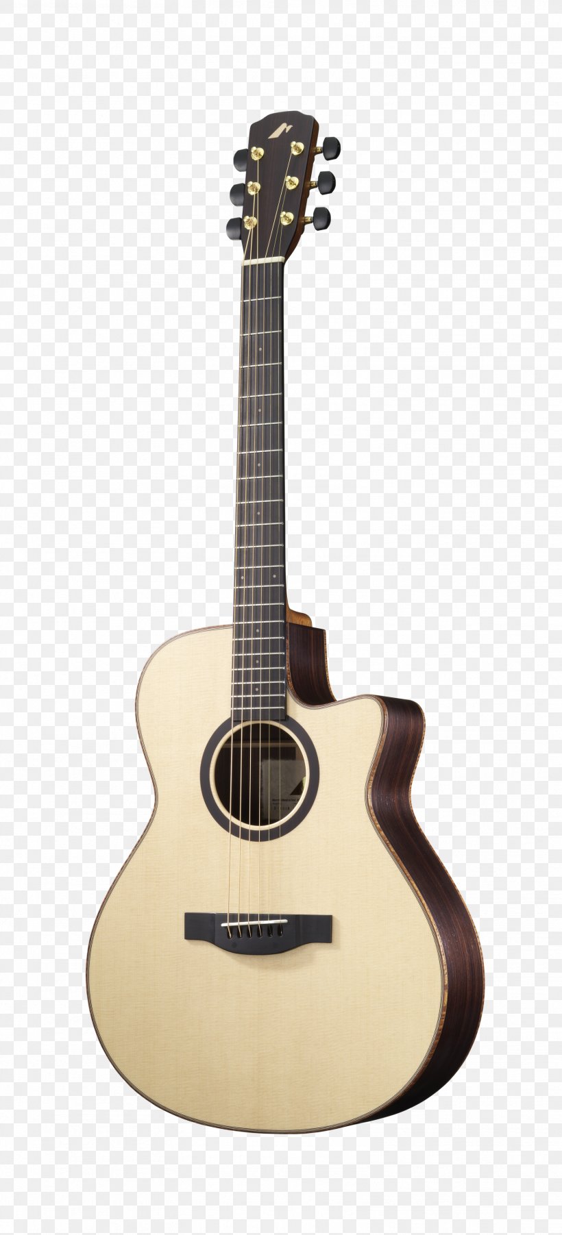 Acoustic Guitar Acoustic-electric Guitar Guitar Bracing Taylor Guitars, PNG, 1566x3445px, Watercolor, Cartoon, Flower, Frame, Heart Download Free