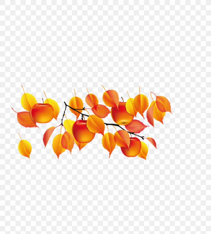 Autumn Summer Daytime Clip Art, PNG, 900x1000px, Autumn, Adobe After Effects, Animation, Daytime, Heart Download Free
