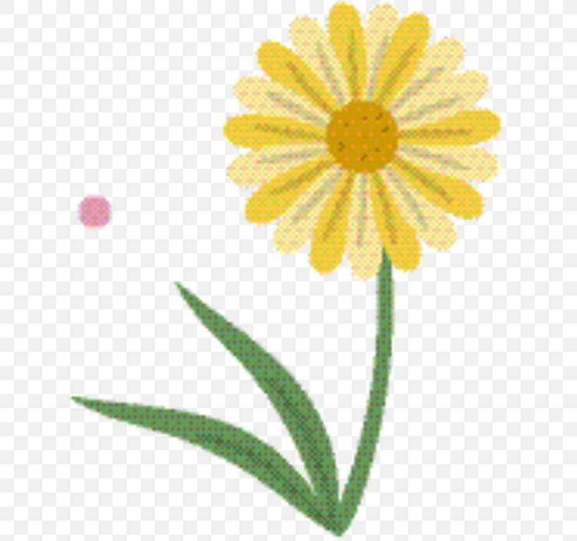 Marigold Flower, PNG, 642x769px, Oxeye Daisy, Chamomile, Daisy, Daisy Family, English Marigold Download Free