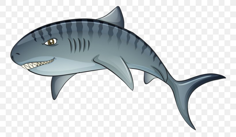 Tiger Shark Tiger Shark Cartoon, PNG, 800x476px, Shark, Cartilaginous Fish, Cartoon, Drawing, Fauna Download Free