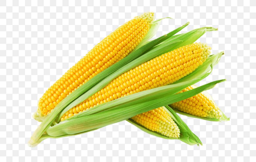 Corn On The Cob Maize Corn Kernel Sweet Corn Corncob, PNG, 690x518px, Corn On The Cob, Commodity, Corn Husk Doll, Corn Kernel, Corn Kernels Download Free