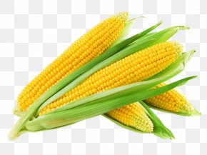 Agritech India - Corn On The Cob Maize Corn Kernel Sweet Corn Corncob PNG