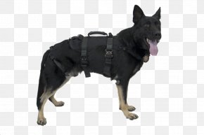 Rescue Dog Harness - Dog Harness Police Dog Abseiling Search And Rescue Dog Chinese Crested Dog PNG