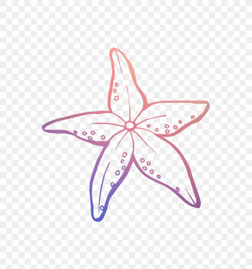 Drawing Coloring Book Vector Graphics Starfish Clip Art, PNG, 1500x1600px, Drawing, Coloring Book, Echinoderm, Marine Invertebrates, Painting Download Free