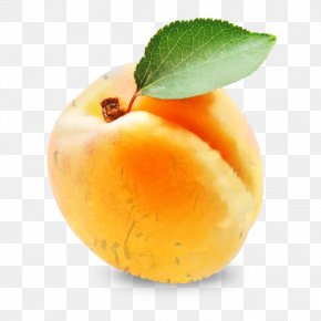 Superfood Apple - Eye Cartoon PNG
