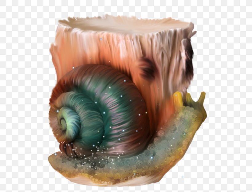 Snail Escargot Orthogastropoda, PNG, 600x625px, Snail, Animal, Cartoon, Computer Software, Escargot Download Free
