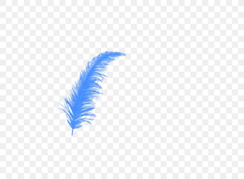 Feather Owl Bird, PNG, 600x600px, Feather, Bird, Blue, Color, Ink Download Free