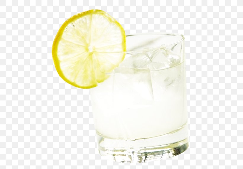 Gin And Tonic Rickey Sea Breeze Harvey Wallbanger Vodka Tonic, PNG, 528x572px, Gin And Tonic, Citric Acid, Cocktail, Cocktail Garnish, Drink Download Free
