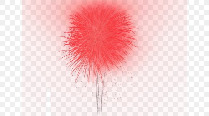 Petal Fur Computer Wallpaper, PNG, 650x455px, Petal, Computer, Fur, Pink, Red Download Free