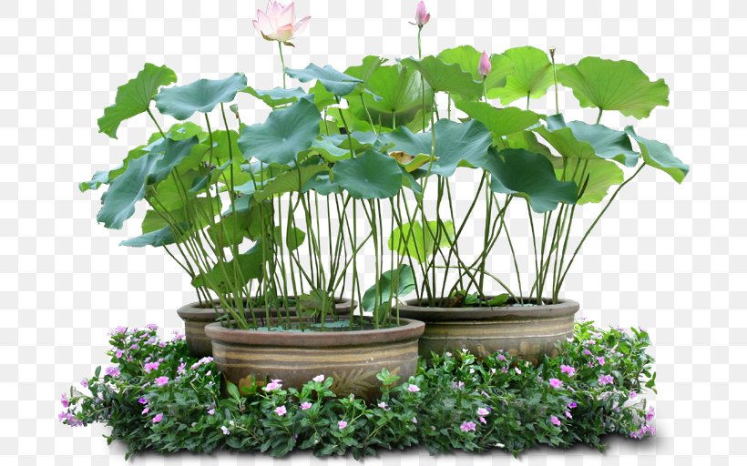 Flowerpot Crock Poterie En Toscane Houseplant, PNG, 694x512px, Flowerpot, Annual Plant, Bulb, Crock, Flower Download Free