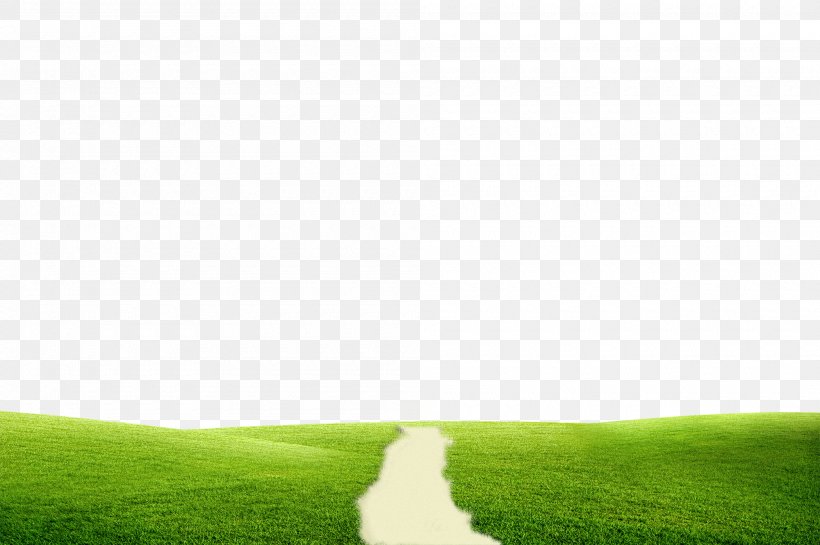 Lawn Green Sky Grassland Wallpaper, PNG, 2000x1330px, Lawn, Computer, Field, Grass, Grassland Download Free