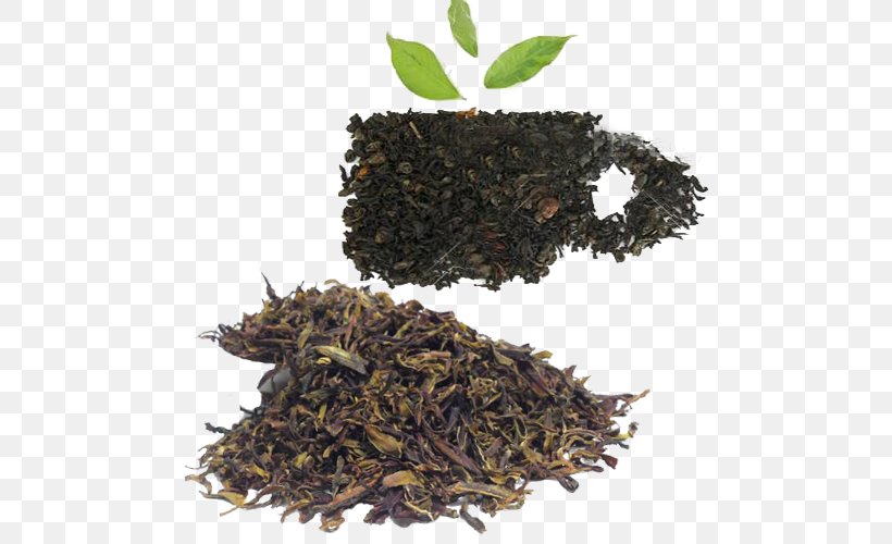Nilgiri Tea Green Tea Keemun Oolong, PNG, 500x500px, Tea, Assam Tea, Bai Mudan, Bancha, Biluochun Download Free