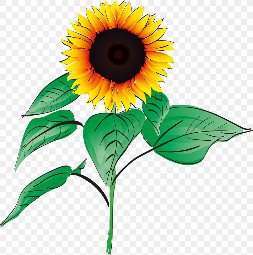 Pension Zum Schweizerhaus Common Sunflower Clip Art, PNG, 1271x1280px, Common Sunflower, Cut Flowers, Daisy Family, Floral Design, Floristry Download Free