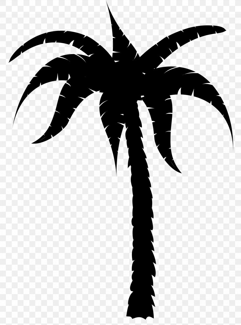 Suncoast Community High School Palm Trees Computer Science Engineering Mathematics, PNG, 3672x4952px, Suncoast Community High School, Arecales, Blackandwhite, Coconut, Computer Science Download Free
