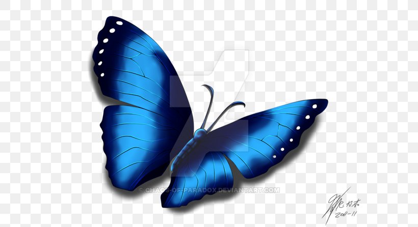 Cobalt Blue Moth, PNG, 600x446px, Cobalt Blue, Blue, Butterfly, Cobalt, Insect Download Free