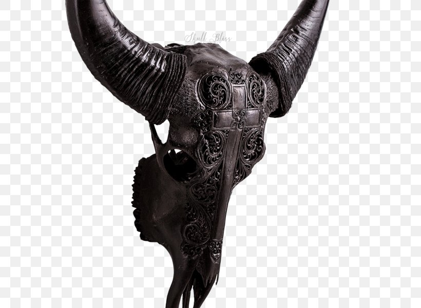 Horn Water Buffalo Cow's Skull: Red, White, And Blue Taurine Cattle, PNG, 600x600px, Horn, African Buffalo, American Bison, Animal, Bone Download Free