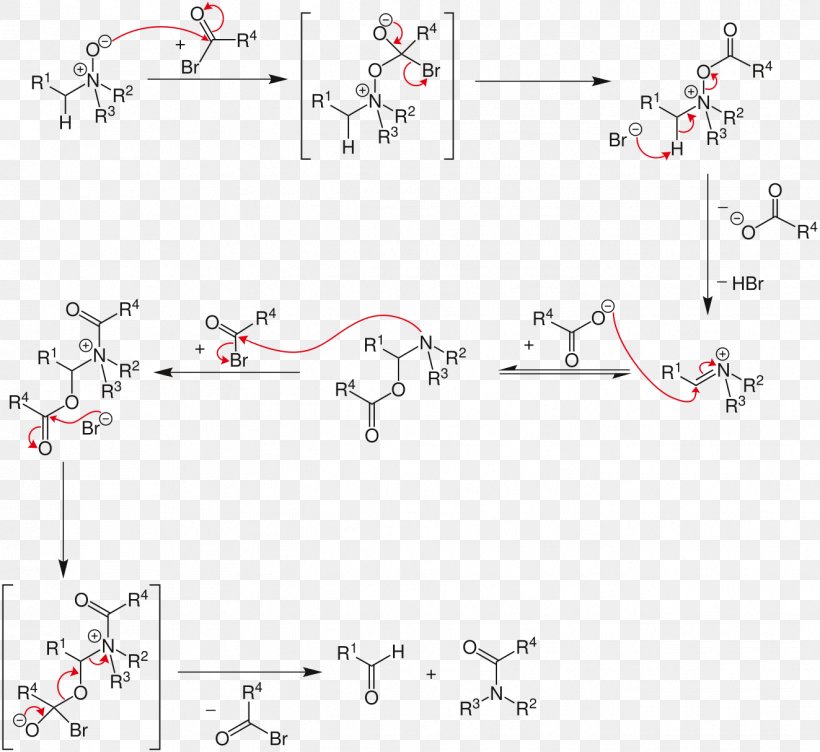 Strategic Applications Of Named Reactions In Organic Synthesis Polonovski Reaction Rearrangement Reaction Reaction Mechanism Acetic Anhydride, PNG, 1323x1214px, Rearrangement Reaction, Acetic Anhydride, Acetylation, Acylation, Amine Oxide Download Free