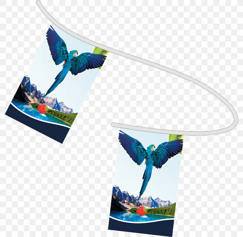 Bunting Paper Flag Printing Textile, PNG, 788x800px, Bunting, Advertising, Banner, Exhibition, Feather Download Free