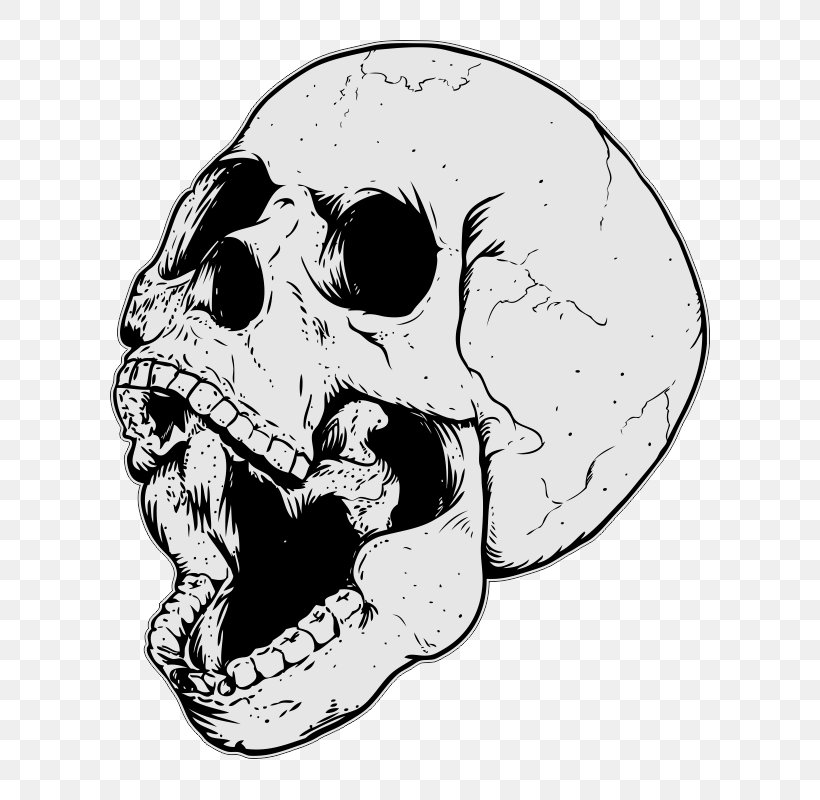Skull Drawing, PNG, 800x800px, Skull, Black And White, Bone, Drawing, Face Download Free