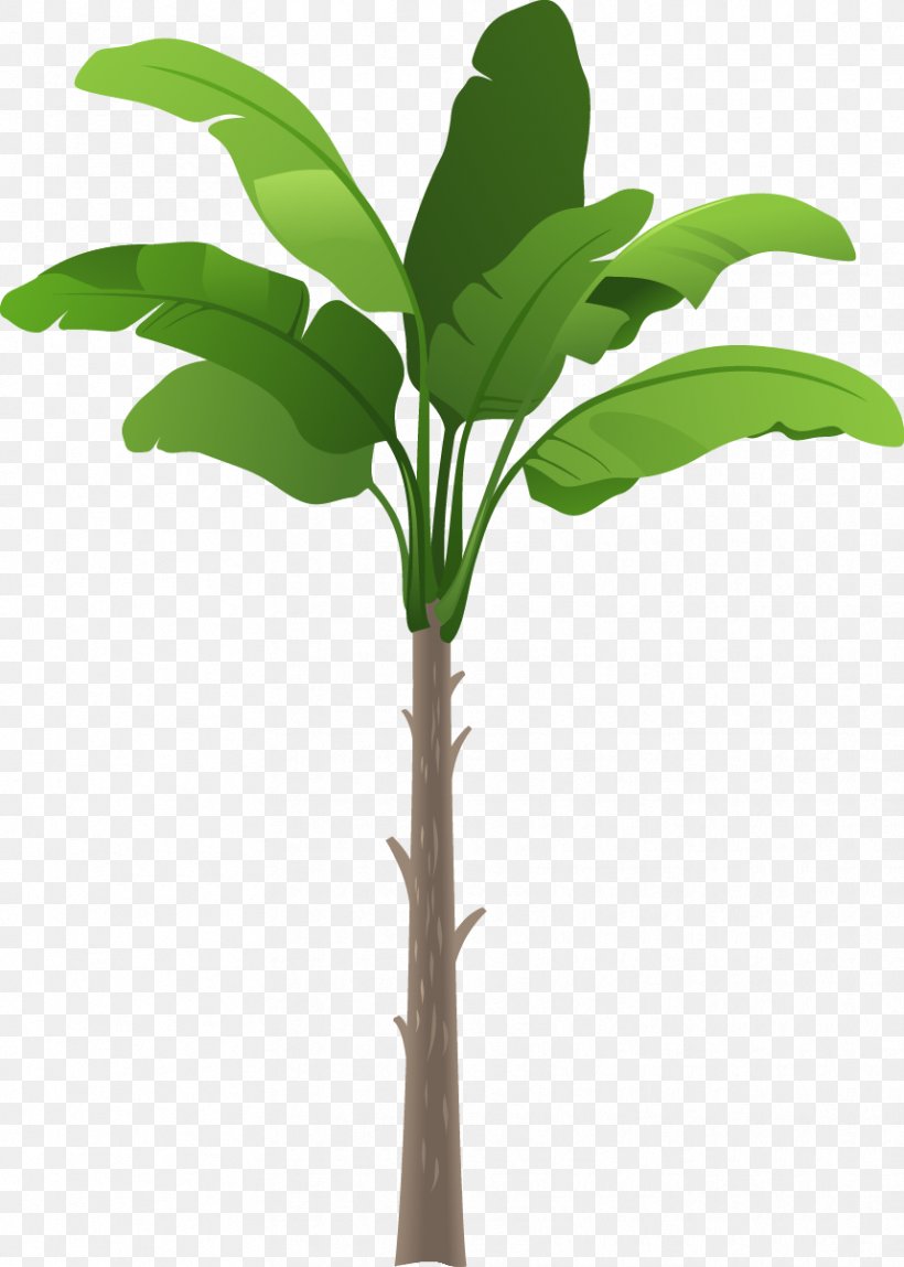 Arecaceae Tree Drawing Illustration, PNG, 859x1204px, Arecaceae, Areca Palm, Branch, Coconut, Drawing Download Free