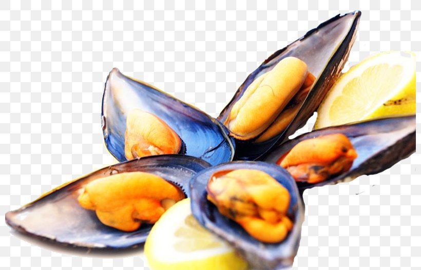 Blue Mussel The Irish Harp Restaurant Clam, PNG, 800x526px, Mussel, Animal Source Foods, Blue Mussel, Clam, Clams Oysters Mussels And Scallops Download Free