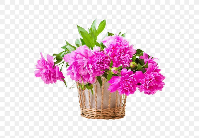 Flower Delivery Online Shopping, PNG, 570x570px, Flower, Artificial Flower, Carnation, Cut Flowers, Floral Design Download Free