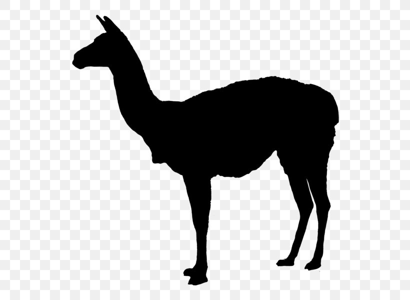 Llama Deer Clip Art, PNG, 600x600px, Llama, Art, Autocad Dxf, Black And White, Camel Like Mammal Download Free