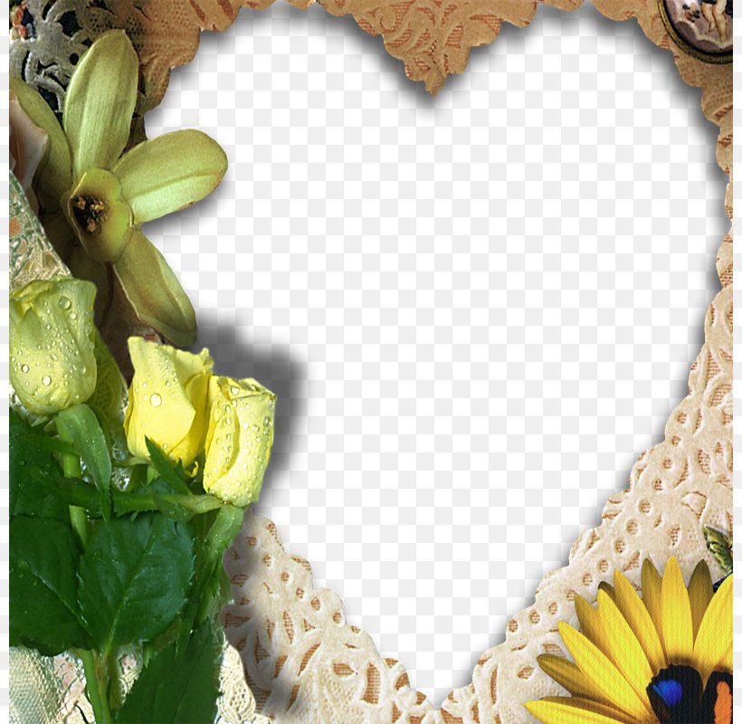 Marriage Quotation Cadre Dentreprise Wedding Anniversary Picture Frame, PNG, 800x800px, Marriage, Ananas, Banana, Banana Family, Bromeliaceae Download Free